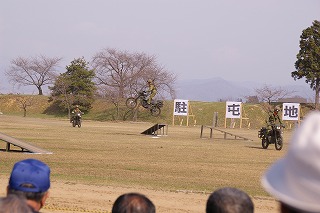 IMGP1175.jpg