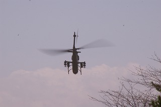 IMGP1029.jpg