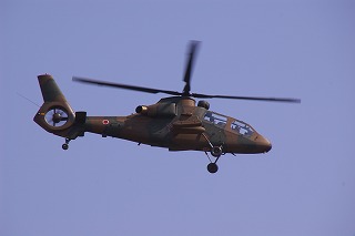 IMGP1140.jpg