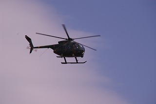 IMGP1134.jpg