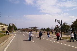 IMGP0810.jpg
