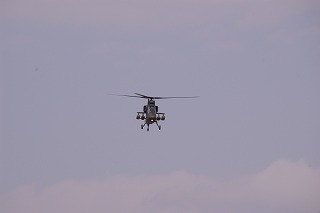 IMGP1238.jpg