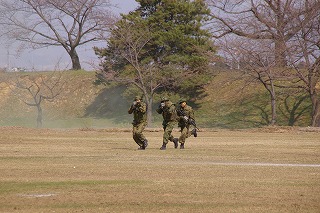 IMGP1331.jpg