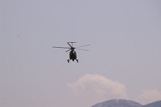 IMGP1021.jpg