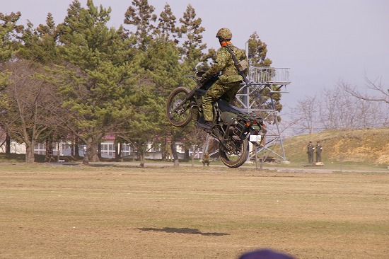IMGP1228.jpg