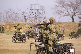 IMGP1219.jpg